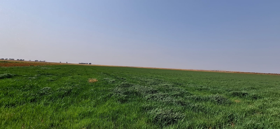  Bedroom Property for Sale in Bainsvlei Free State